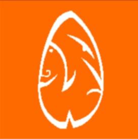 1470370_10152083528836111_1170939035_n