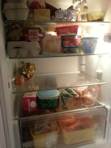 Foto: Åshild Litleskare